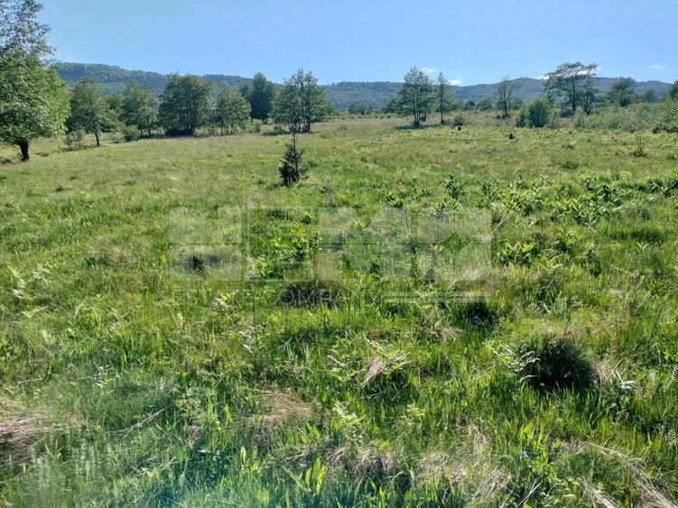 Teren Construcții extravilan de 5000 mp, în Vicovu de Jos