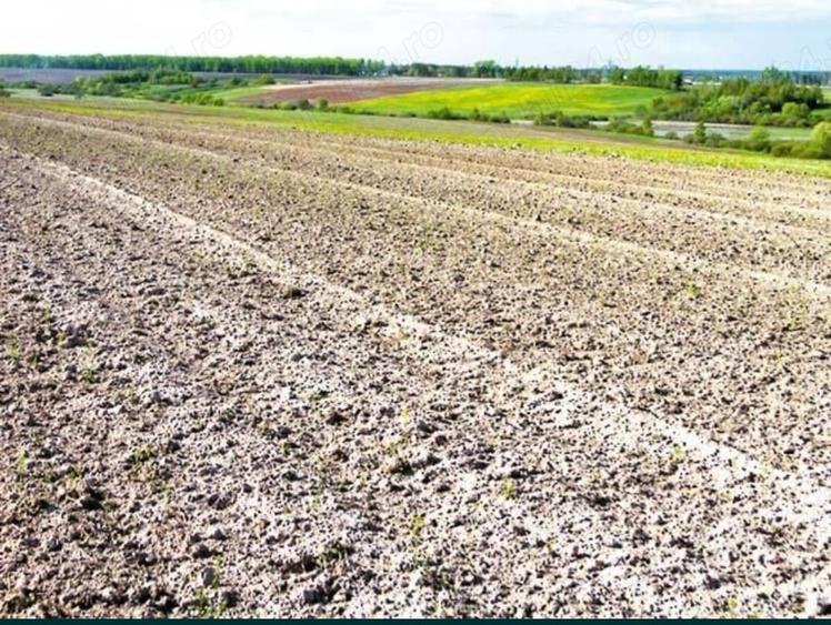 Teren de 16500 mp, în Grădiștea