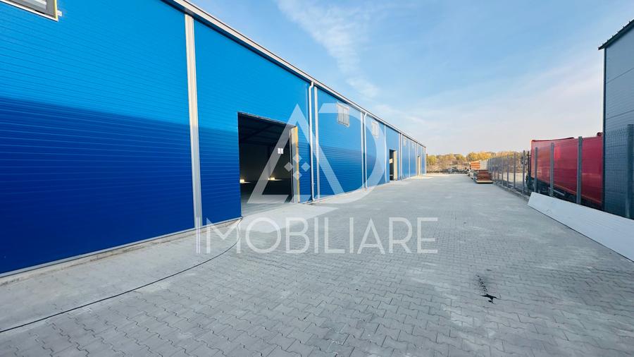 Spațiu industrial, de 1,000 mp, în Narciselor