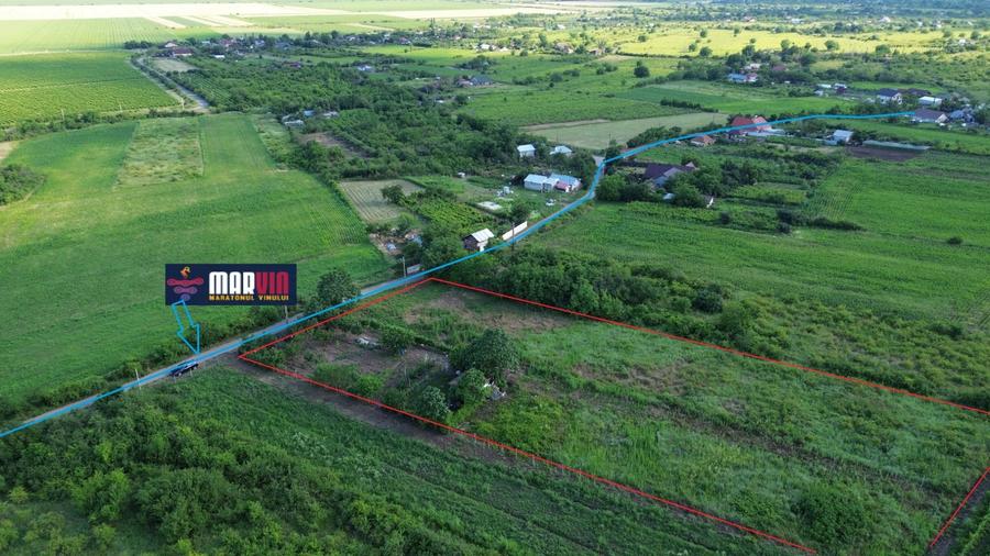 Teren Construcții intravilan de 5555 mp, în Urlați