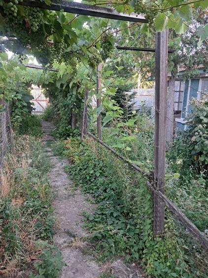 Casă cu Teren 1700 Mp în Plopu