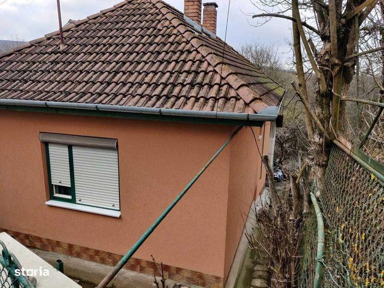 Locuinta 2 Camere, Terasa Acoperita, Bucatarie Vara, Pivnita, Anexe - 5