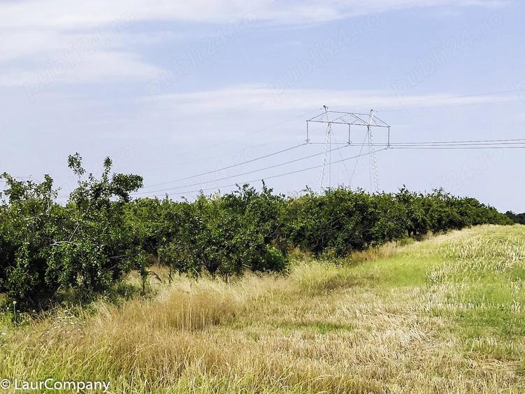 Parcele Teren extravilan Livada si Pasune Lunca Corbului Arges - 8