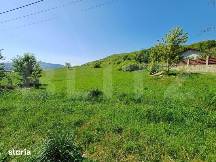 Teren de 5000 mp, în Viișoara