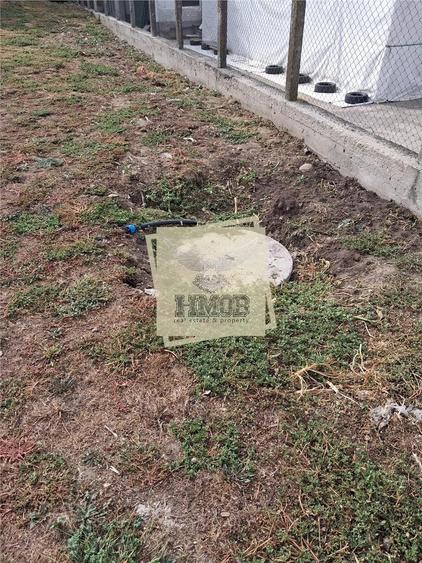 Casă cu 3 camere cu Teren 1850 Mp în Veștem