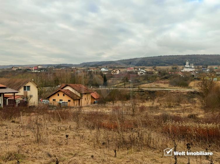 Teren Construcții intravilan de 2365 mp, în Chinteni