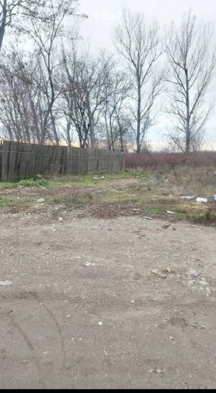 Teren de 400 mp, în Cojasca