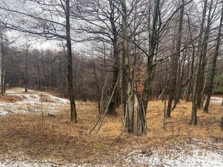 Teren de 3723 mp, în Chiliile