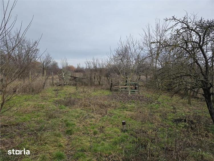 Casă cu 3 camere cu Teren 7900 Mp în Ciumeghiu