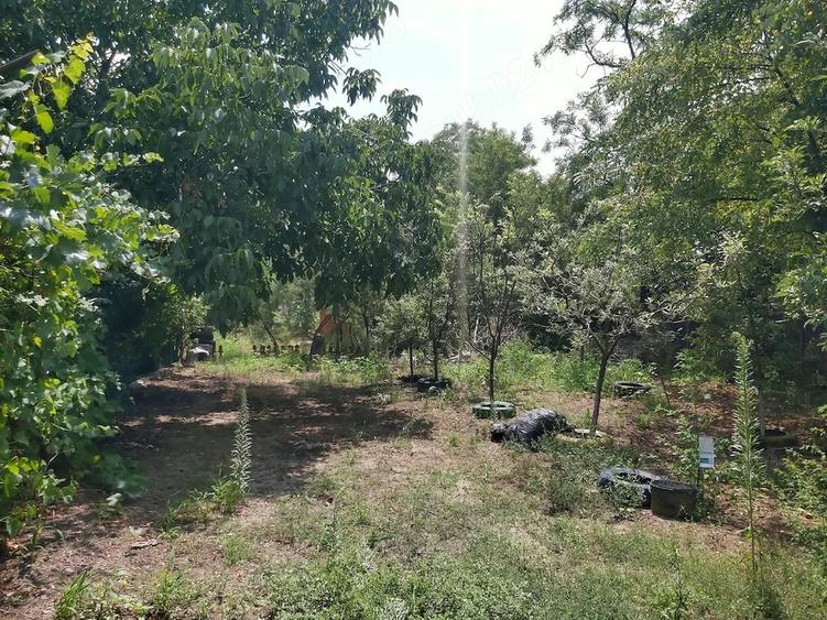Casă cu 5 camere cu Teren 2000 Mp în Rogojeni