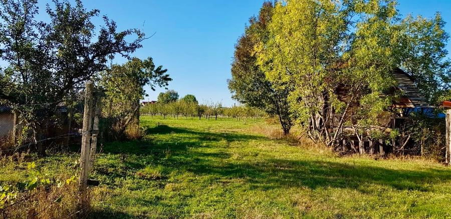 Casă individuală cu 3 camere cu Teren 6000 Mp în Gliganu de Sus
