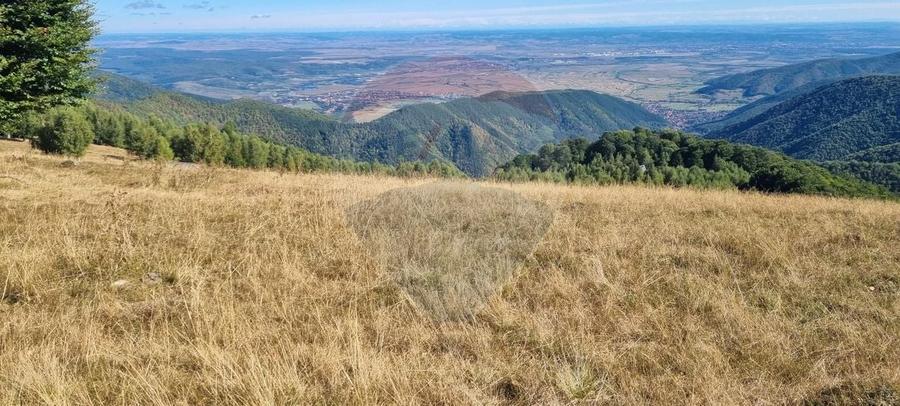 Teren agricol extravilan de 5609 mp, în Gura Râului
