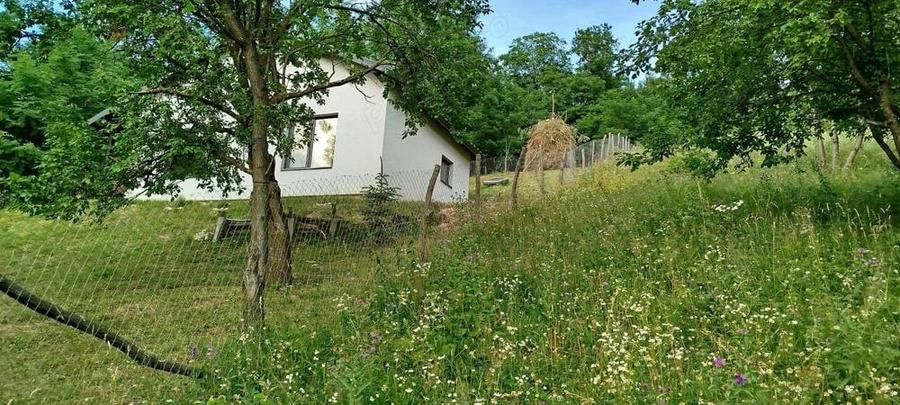 Teren intravilan la munte pentru casa , cabana , pensiune - 8