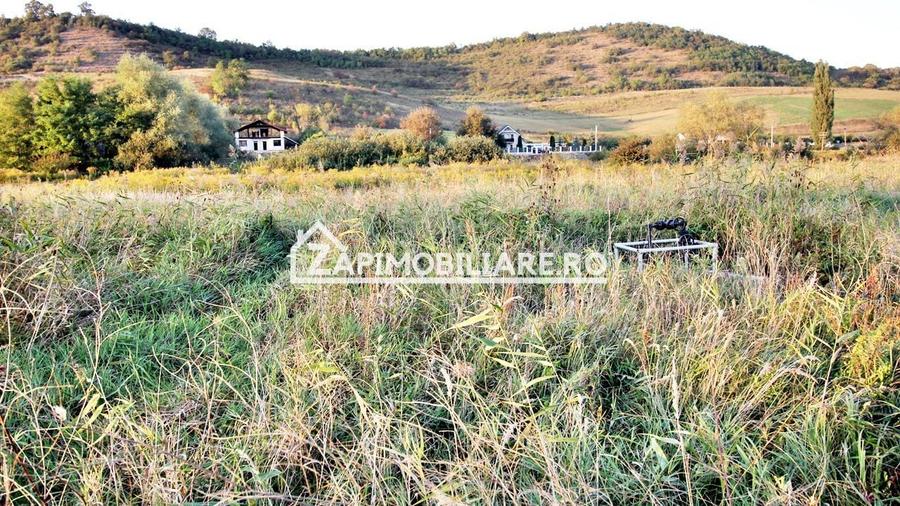 Teren Construcții extravilan de 29759 mp, în Livezeni