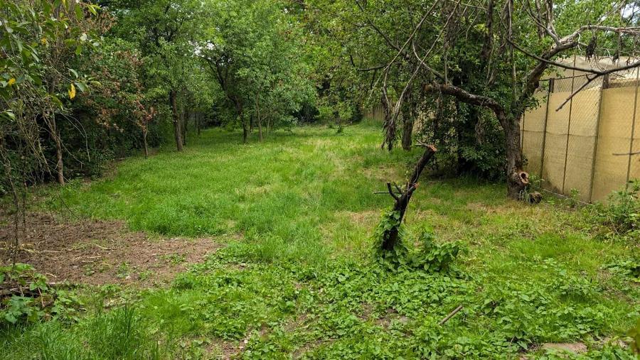 Casă cu 3 camere în Central