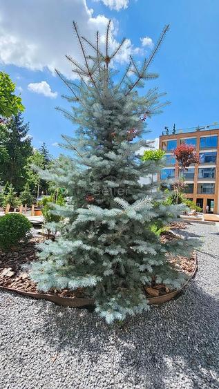 Apartament cu 3 camere semidecomandat, mobilat în Brașovul Vechi