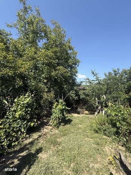 Casa in Margineni - 3