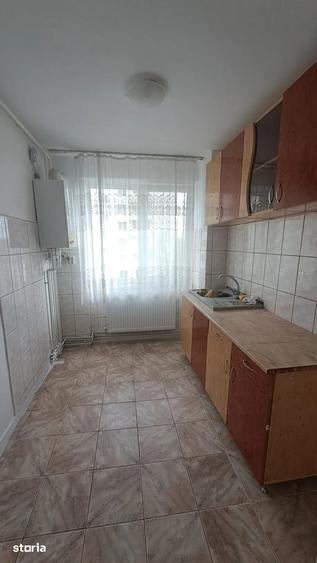 Apartament cu 2 camere semidecomandat în Săsar