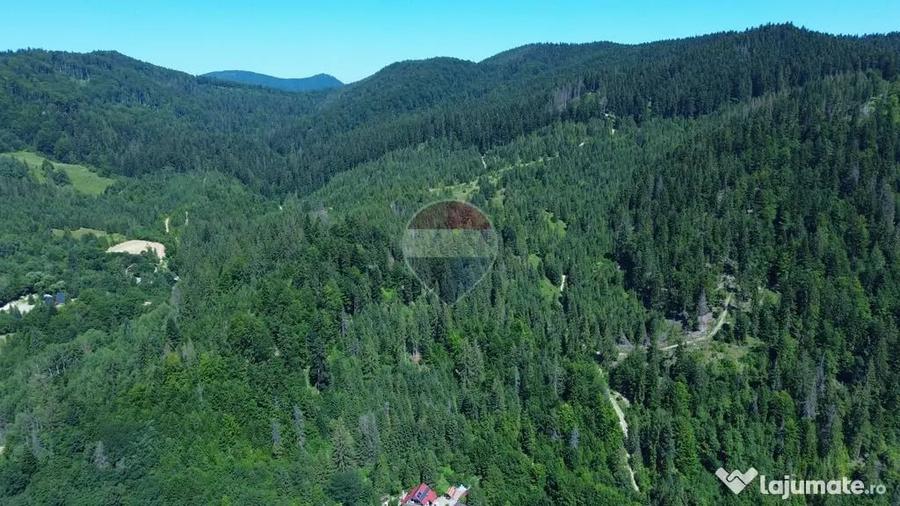 Teren 120.000 mp Sucevi?a oportunitate de investi?i... - 5