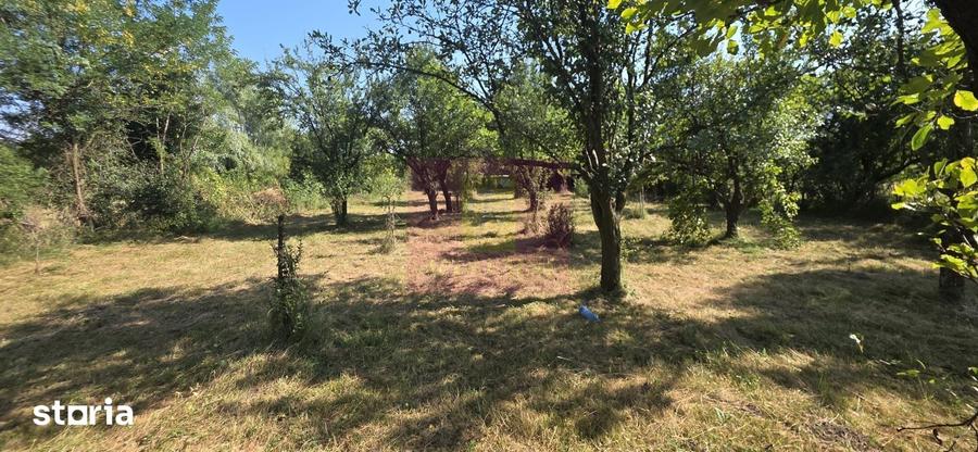 Teren intravilan de vanzare 3375 mp in Brebu - 2