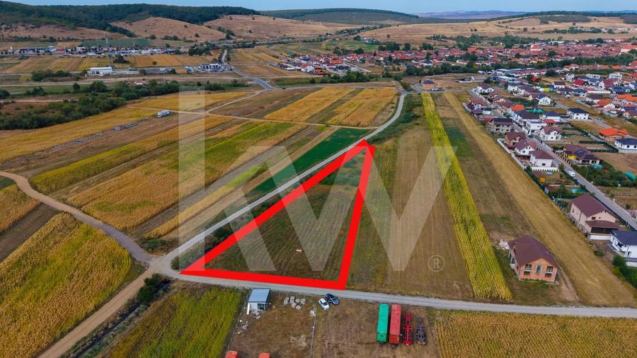 Teren Construcții intravilan de 3752 mp, în Cristian