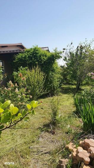 Casa de vanzare in Branesti, in apropiere de padure si lac - 11