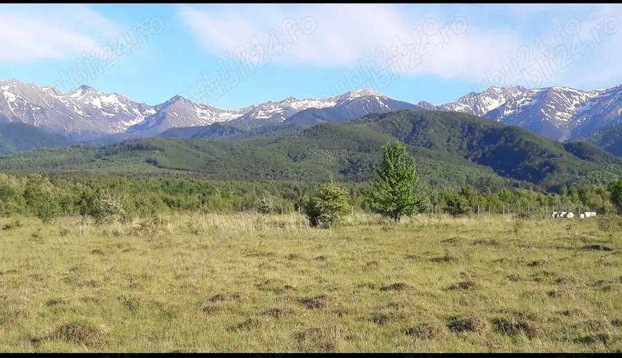 Teren de 1125 mp, în Porumbacu de Sus