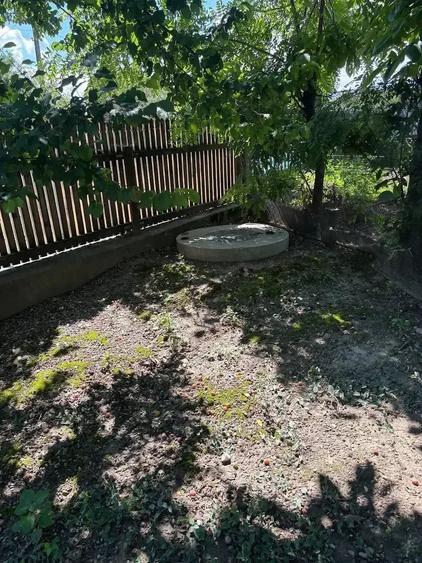 Casă cu Teren 3000 Mp în Măicănești