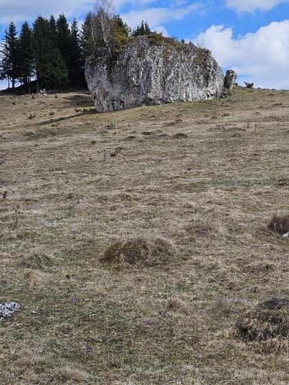 Teren extravilan de 72000 mp, în Dâmbovicioara