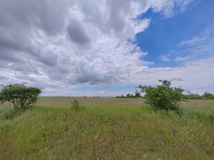 Teren de 114000 mp, în Ariceștii Rahtivani