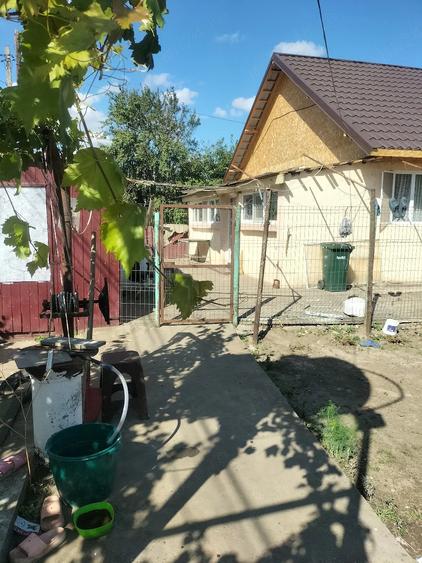 Casă cu 3 camere cu Teren 1900 Mp în Balaciu