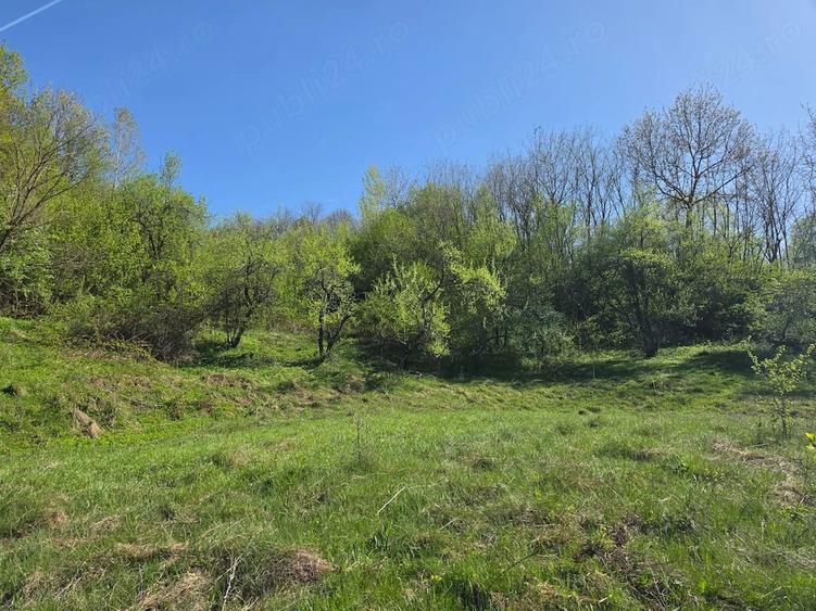 Teren de 6788 mp, în Gura Bărbulețului