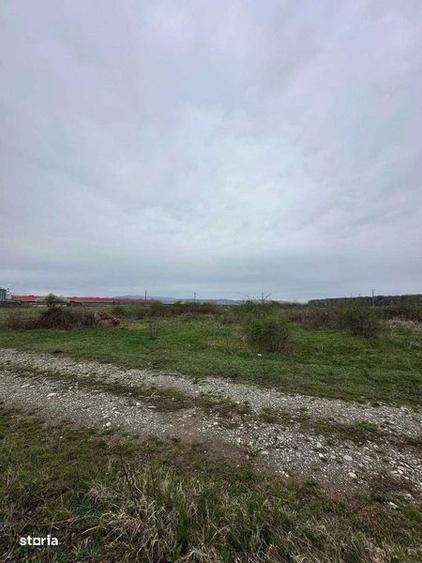 Teren de 5000 mp, în Bănești