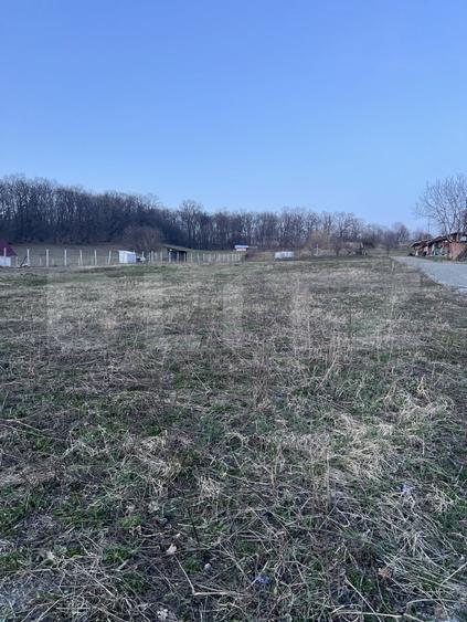 Teren Construcții extravilan de 738 mp, în Nord