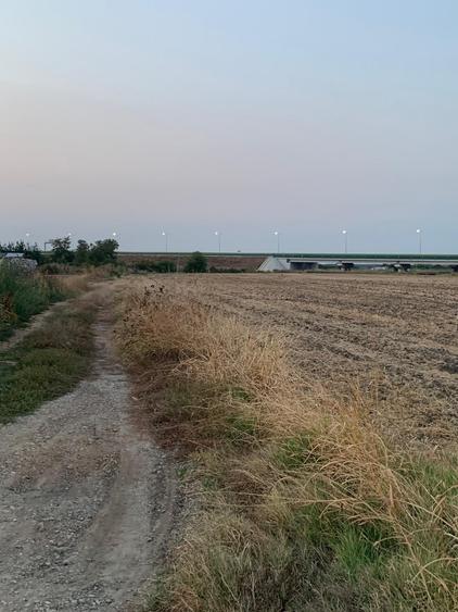 Teren agricol intravilan de 4000 mp, în Dimieni