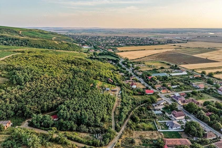 Teren de 1150 mp, în Miniș