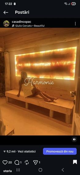 Vile premium , chalet ?i Tree House-uri intr-un Resort Wellness montan - 13