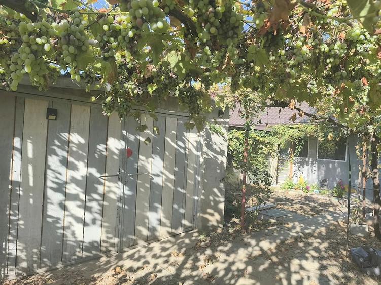 Casă cu Teren 2200 Mp în Crucea