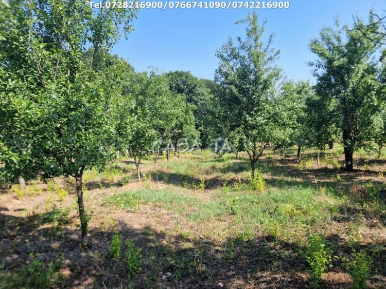 Casă individuală cu 3 camere cu Teren 4721 Mp în Dănești