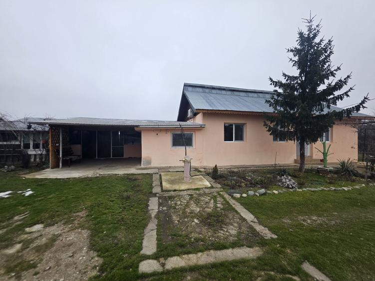 Casa de vanzare in Videle-Tamasesti - 1