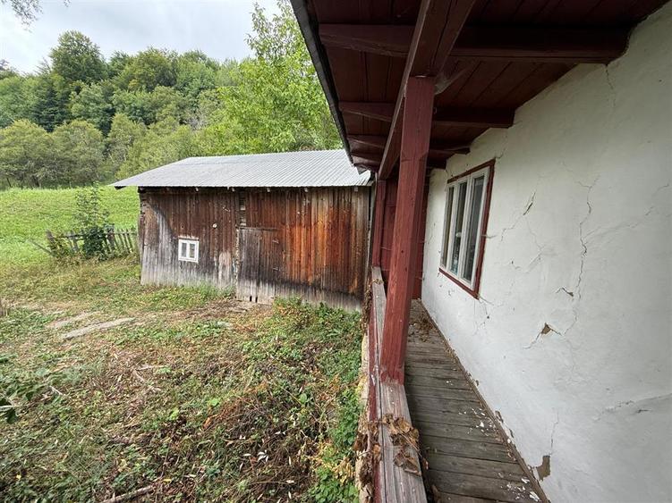 Casă cu 3 camere cu Teren 5913 Mp în Paltin