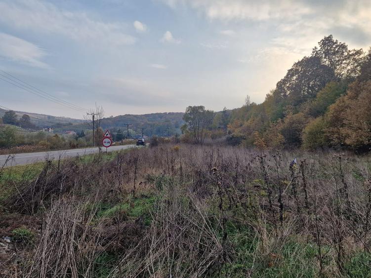 Teren agricol extravilan de 1717 mp, în Mărgineni