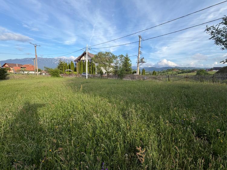 Teren Construcții intravilan de 2000 mp, în Peștera
