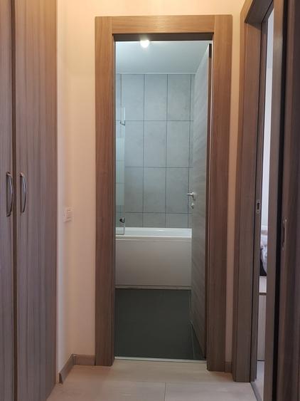 Apartament cu 2 camere semidecomandat în Domenii