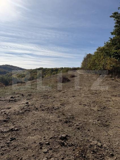 Teren agricol extravilan de 30055 mp, în Făgetu