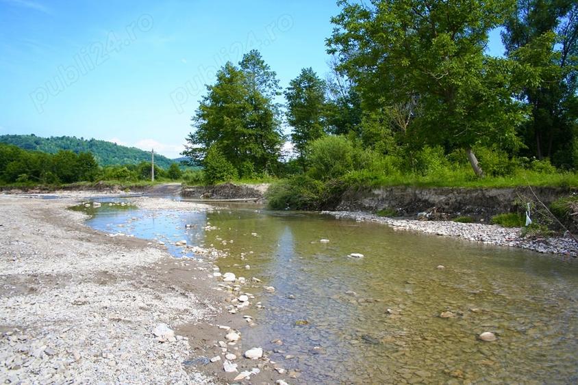 Teren de 3200 mp, în Provița de Sus