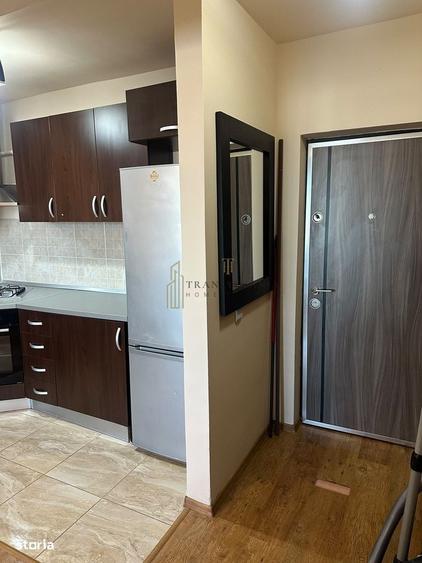 Apartament 2 camere zona Doamna Stanca de inchiriat - 6
