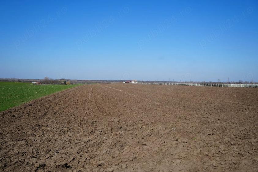 Teren de 10000 mp, în Zădăreni