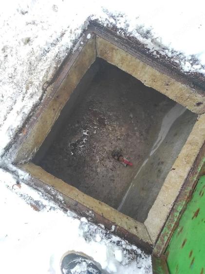 Teren de 3746 mp, în Lepșa