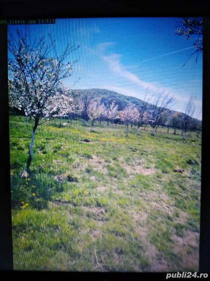 Teren de 2750 mp, în Aninoasa